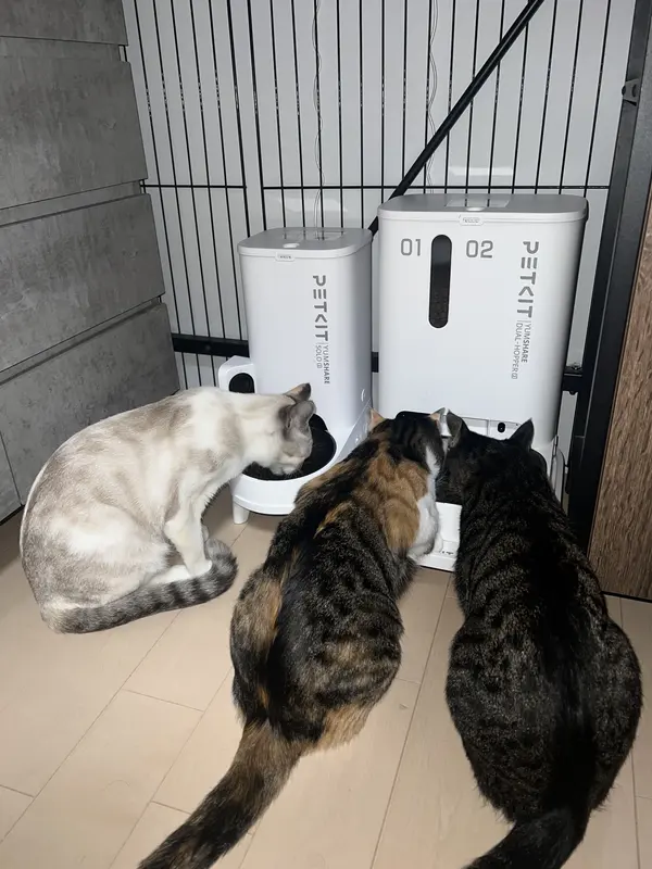 3. 給水器 – PETKIT JP