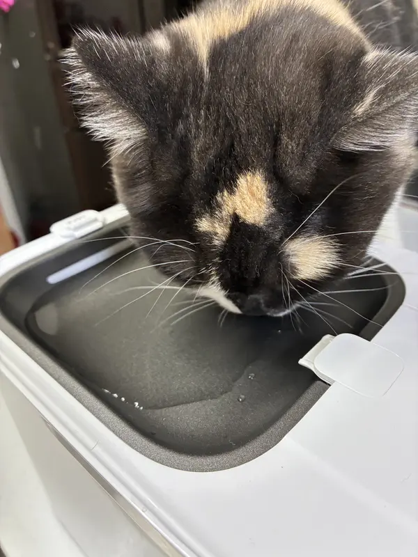 商品 – PETKIT JP
